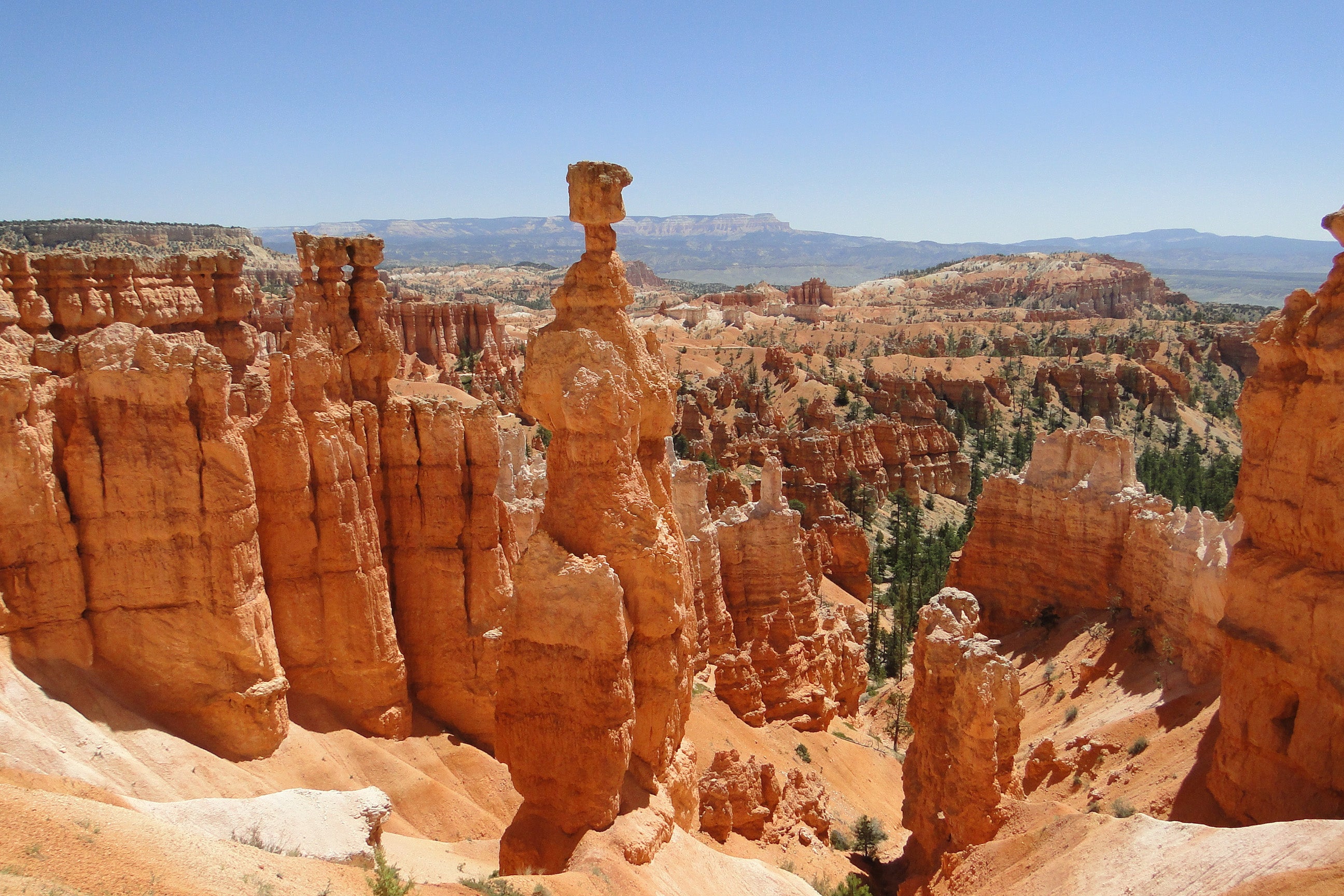 Bryce Canyon National Park Featured Image