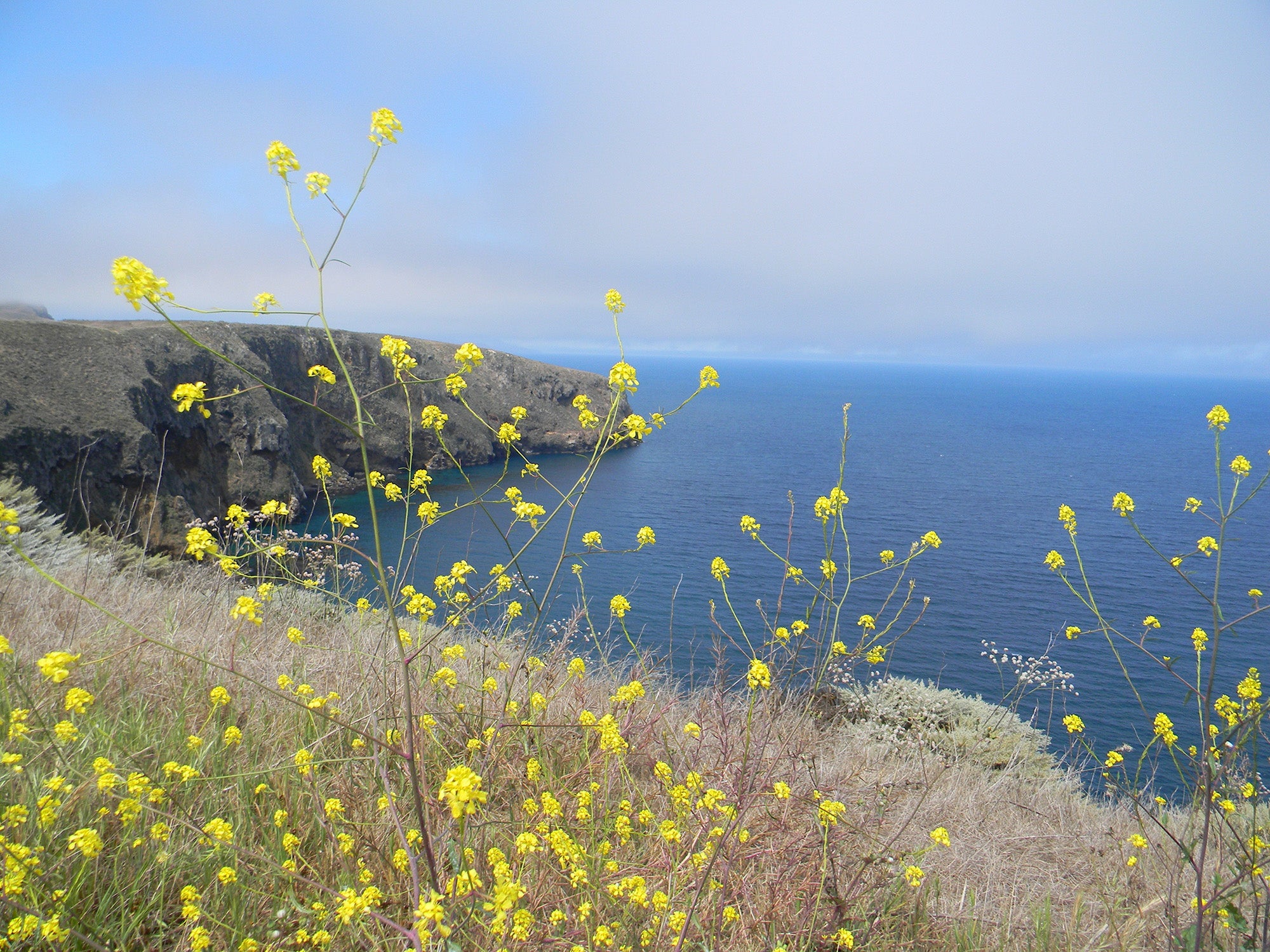 Channel Islands National Park Featured Image