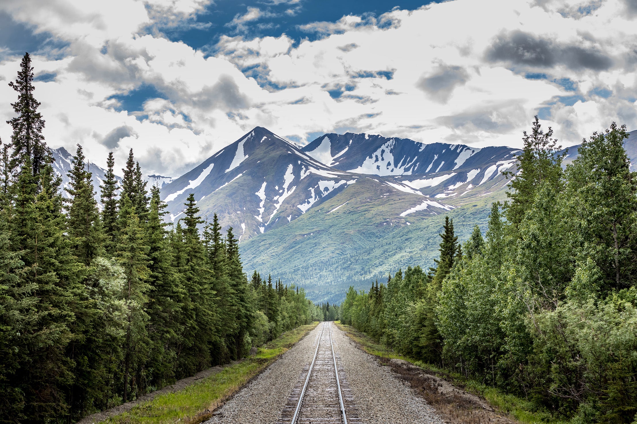 Denali National Park Featured Image