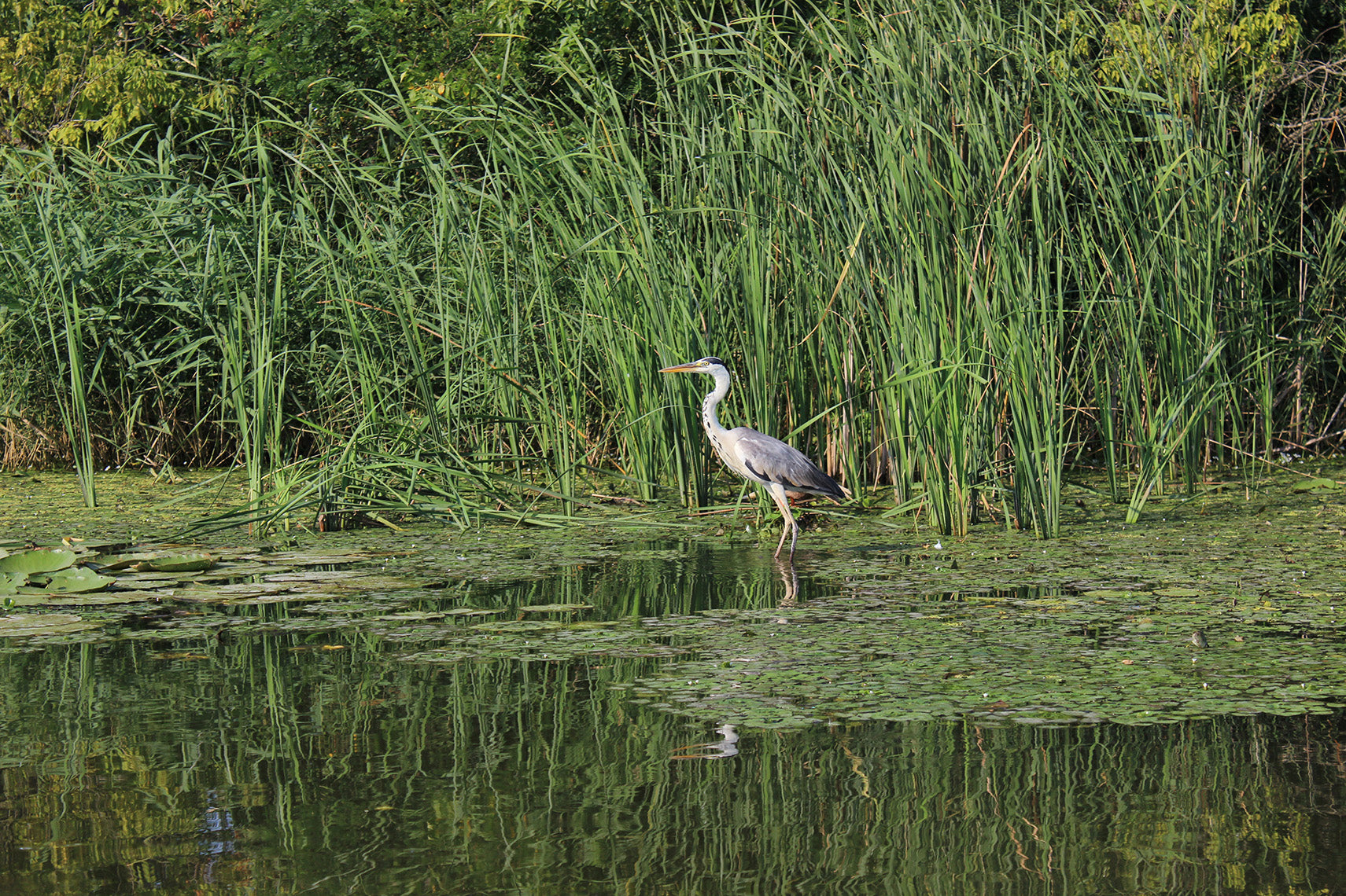 Everglades National Park Featured Image