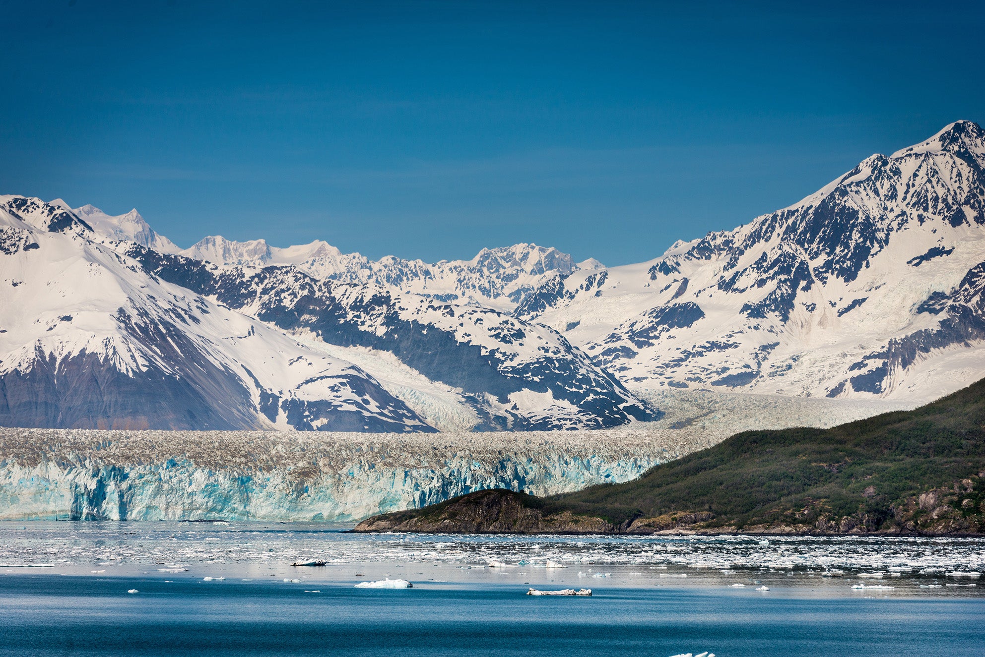 Glacier Bay National Park Featured Image