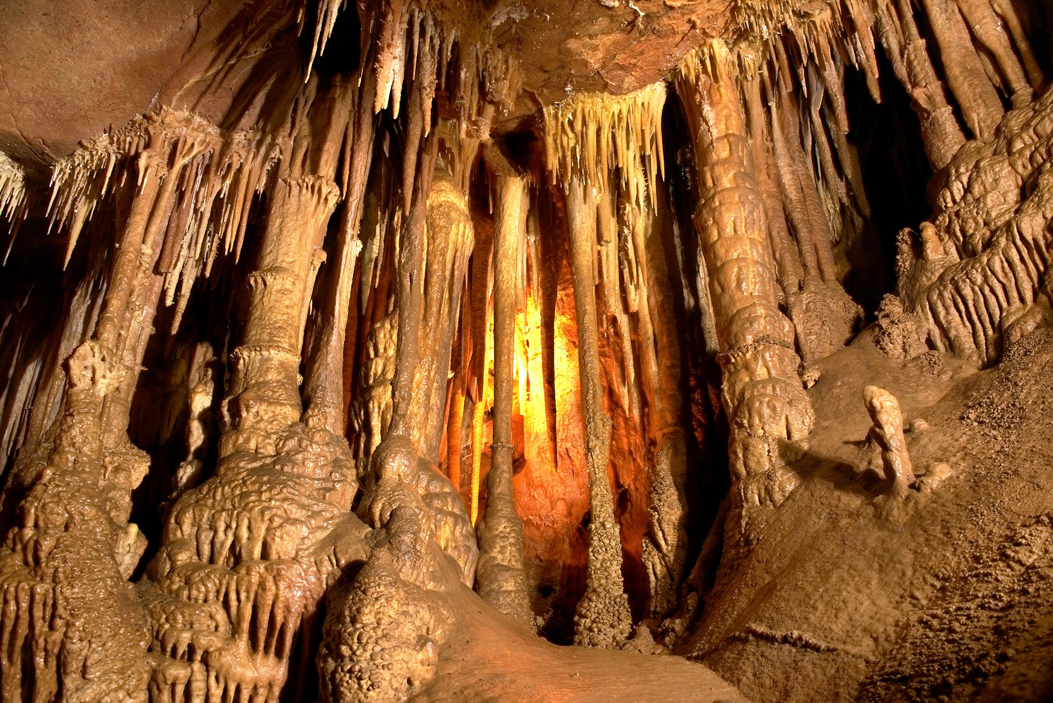 Mammoth Cave National Park Featured Image