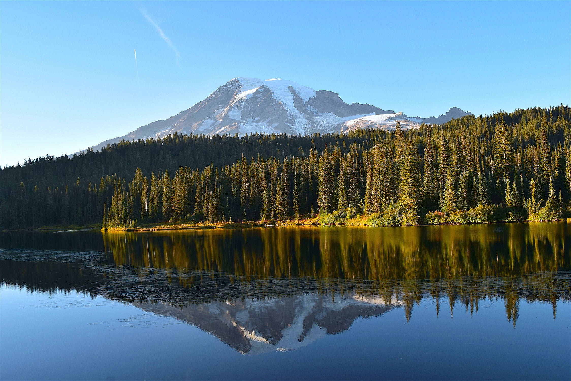 Mount Rainier National Park Featured Image