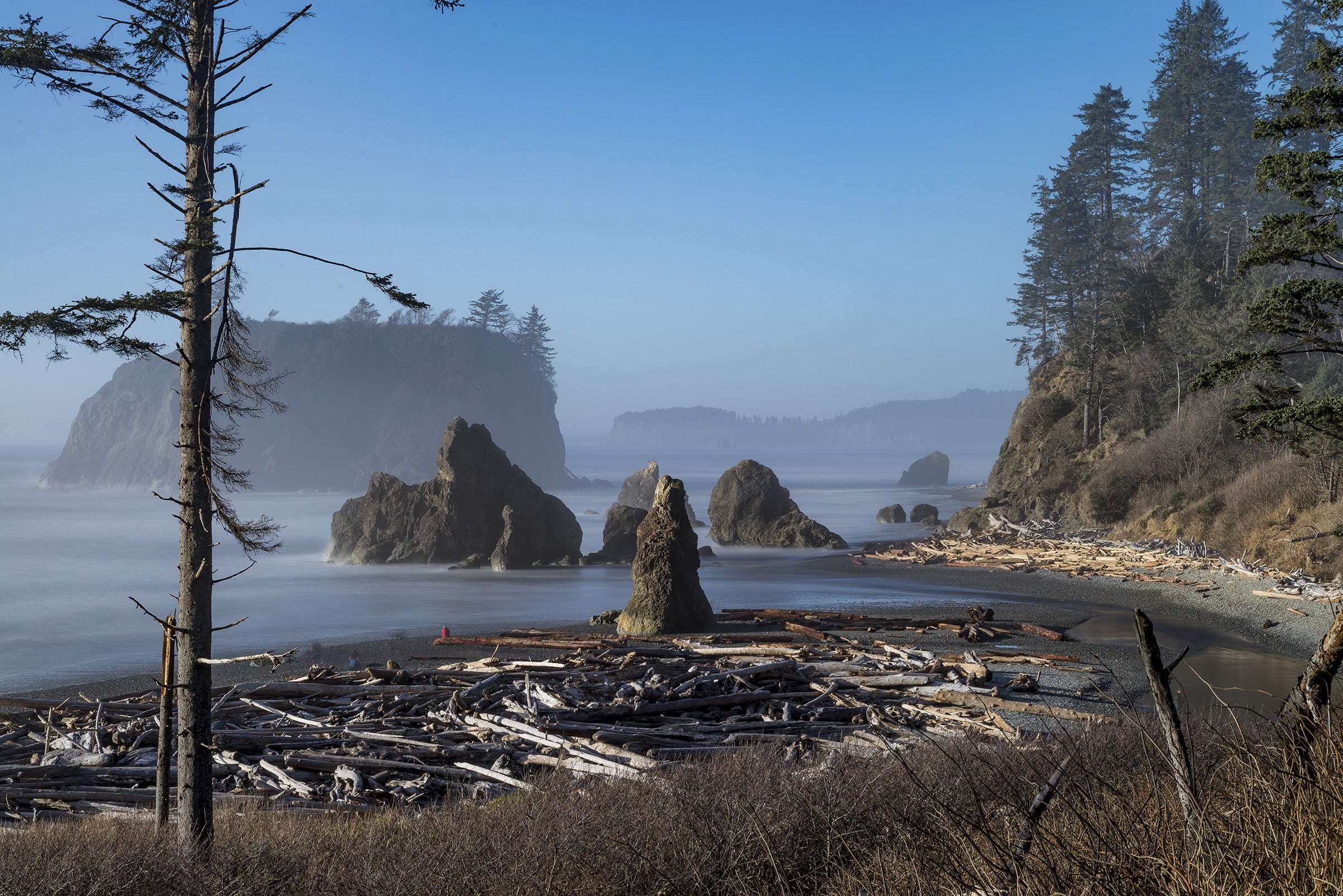 Olympic National Park Featured Image