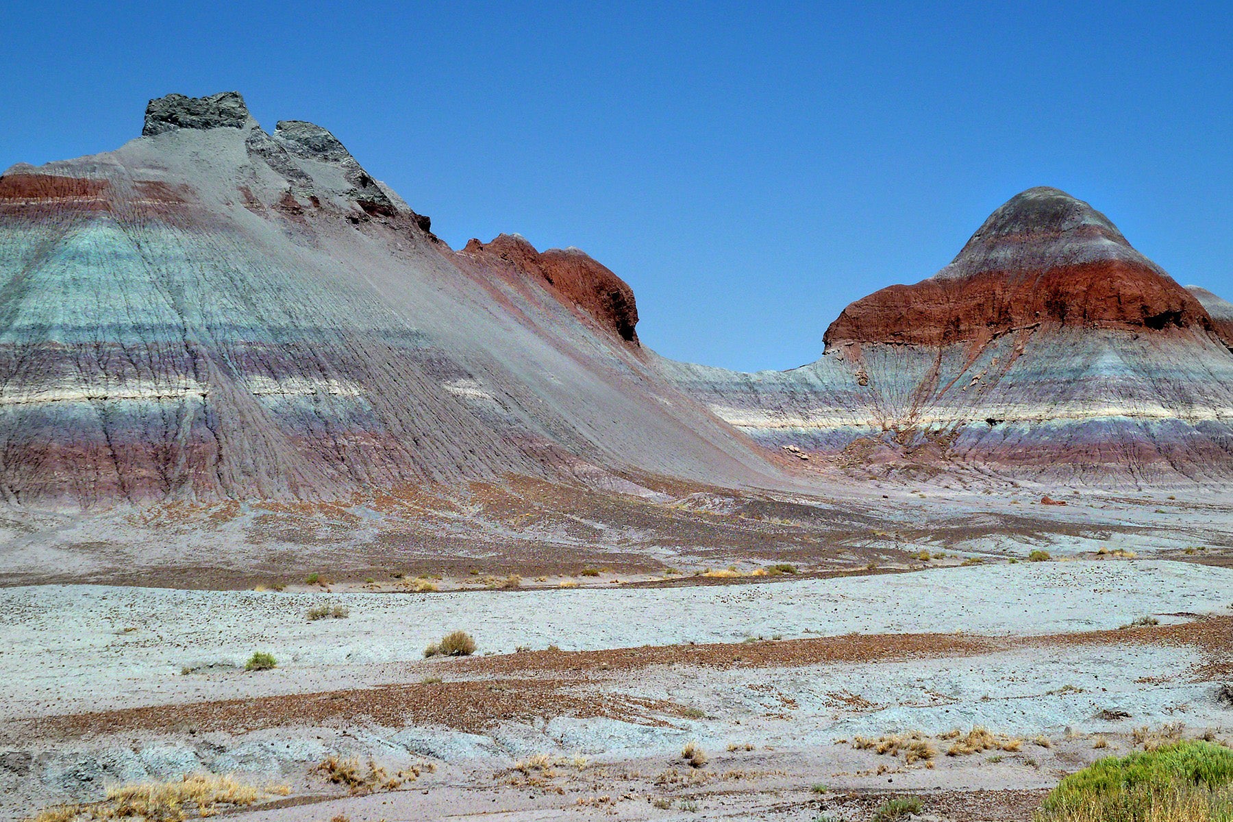 Petrified Forest National Park Featured Image