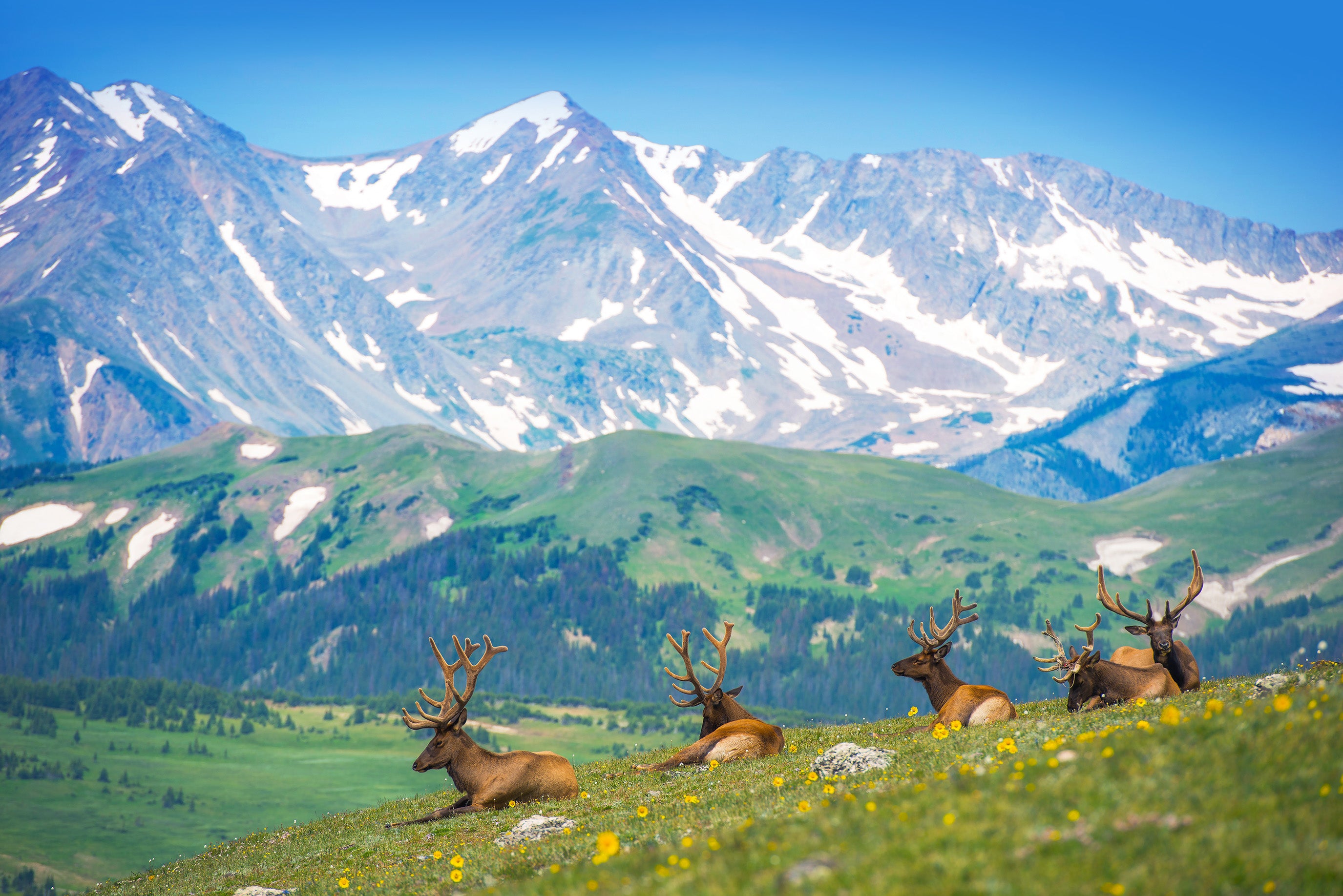 Rocky Mountain National Park Featured Image