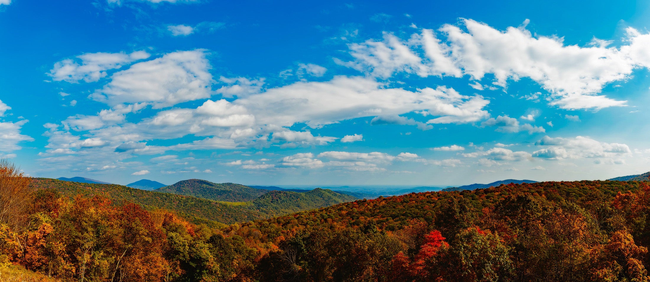 Shenandoah National Park Featured Image