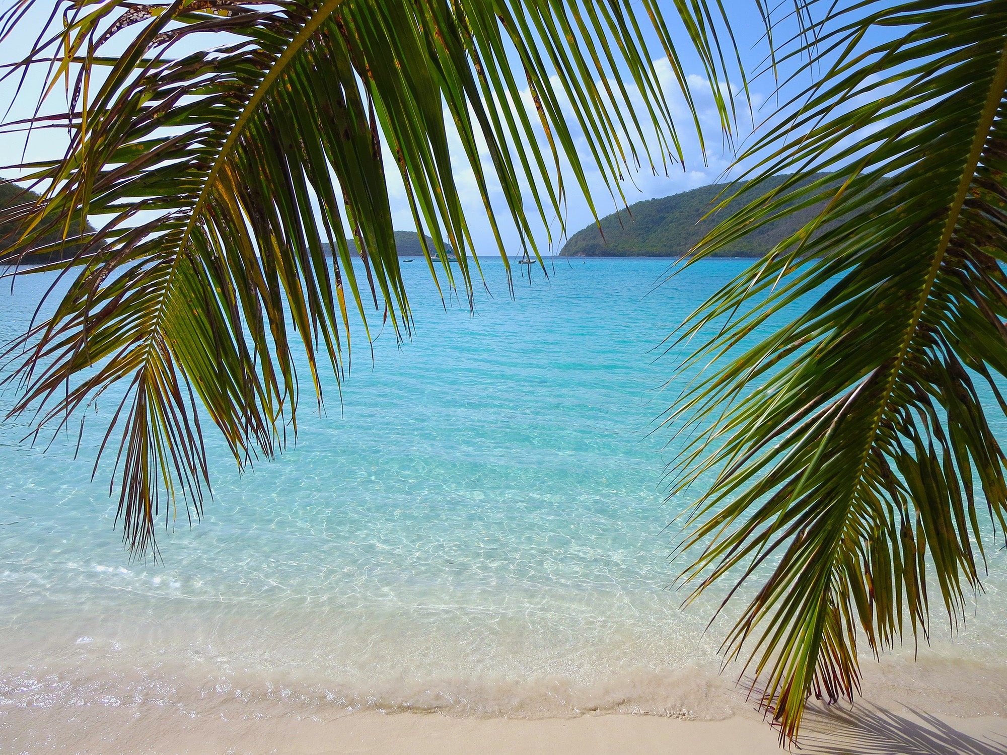 Virgin Islands National Park Featured Image