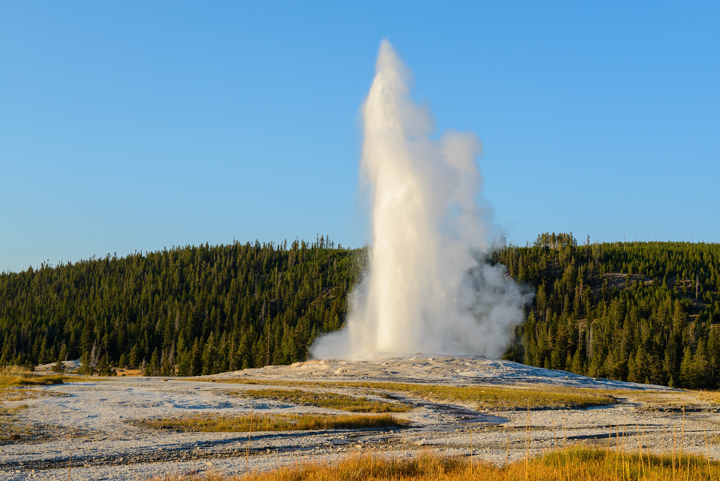 Yellowstone National Park Featured Image