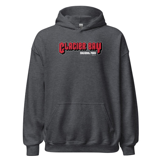 Glacier Bay National Park Hoodie Gray Front